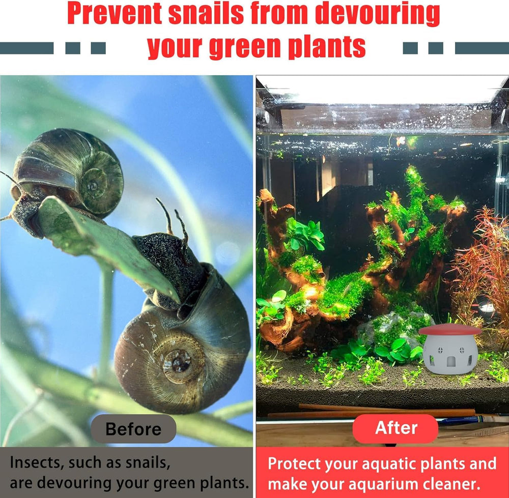 Piège BFBFJJ insertion d'appât facile pour petits escargots
