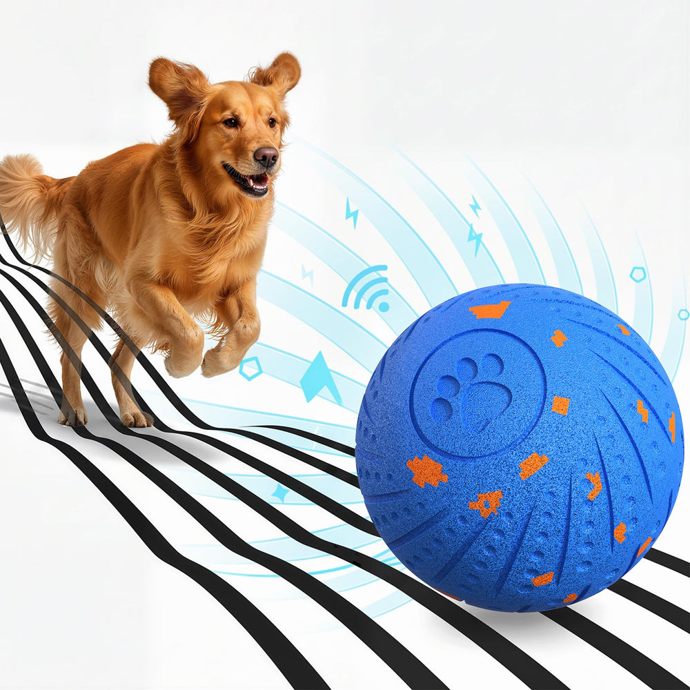 BFFWOW balle interactive en mouvement pour chiens moyens et grands, stimulation et amusement.