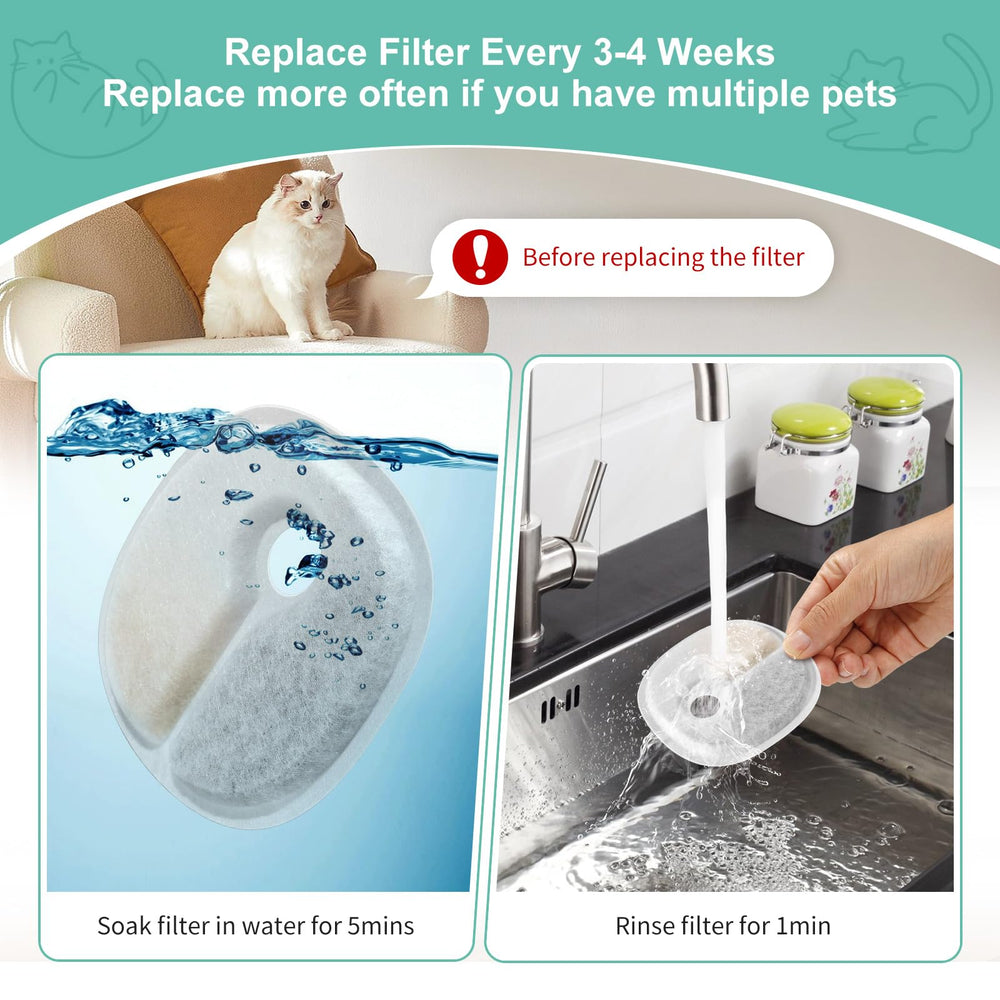 BFLICROY conseils remplacement filtre 3-4 semaines — utilisation optimale et eau propre.
