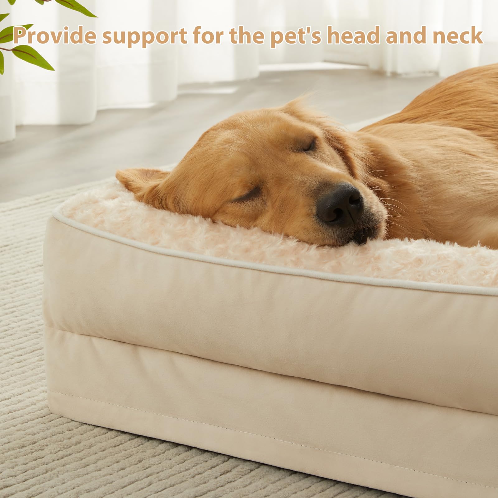 BFPETHOME conception en forme L offrant espace pour etirer le chien.