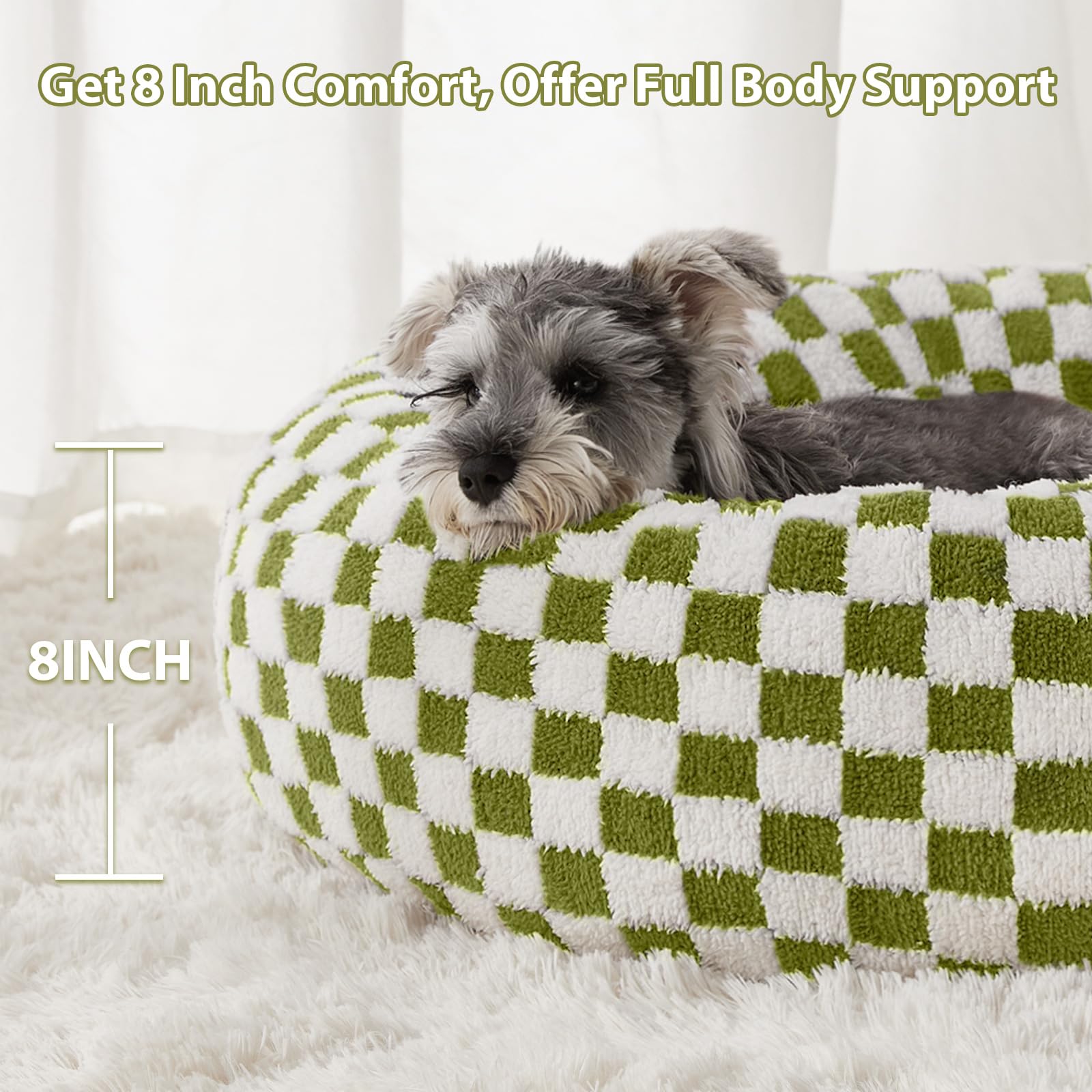 Design chic et moderne du lit donut BFPETHOME pour votre intérieur vert.