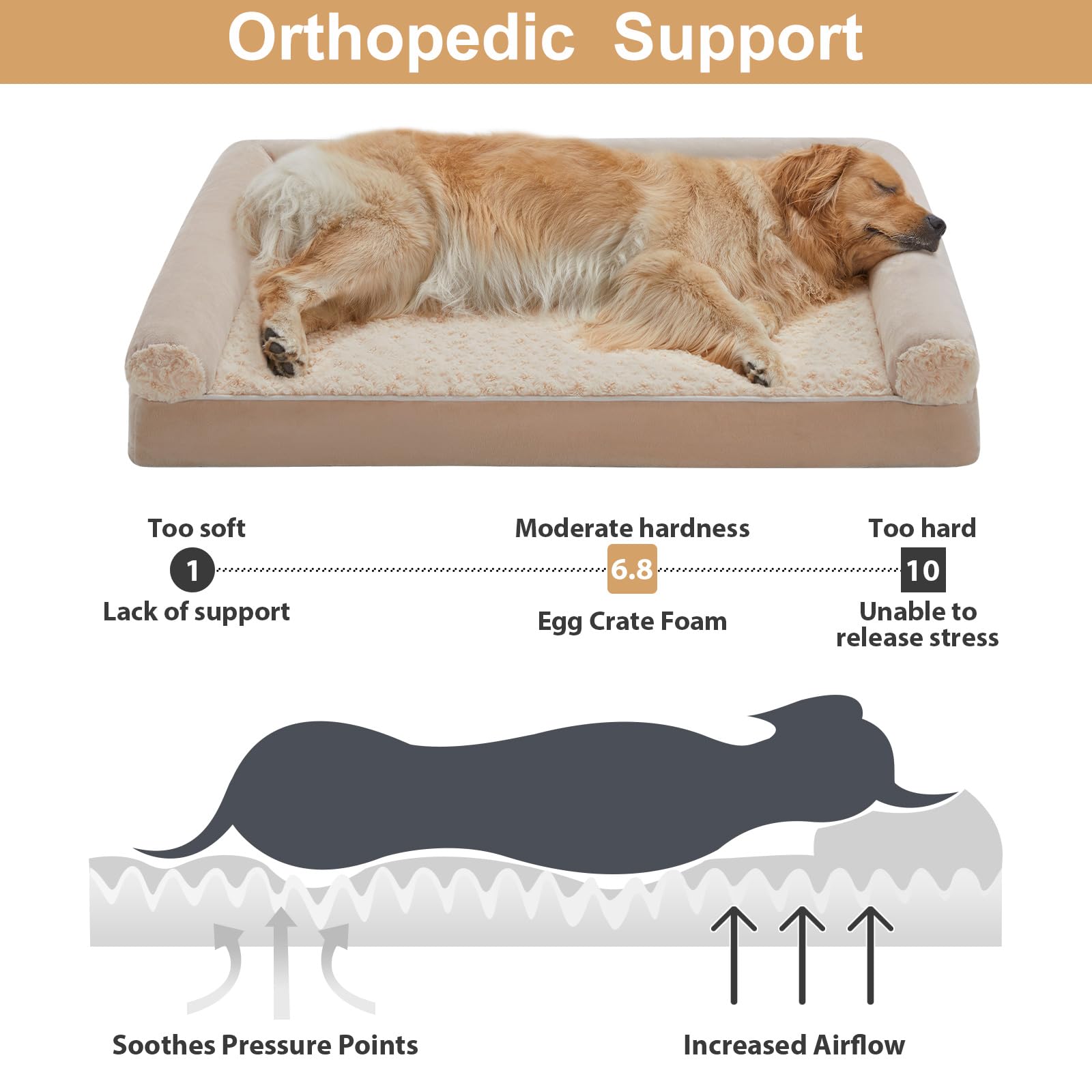 BFPETHOME lit orthopédique — mousse haute densité en nid d'abeille pour soutien