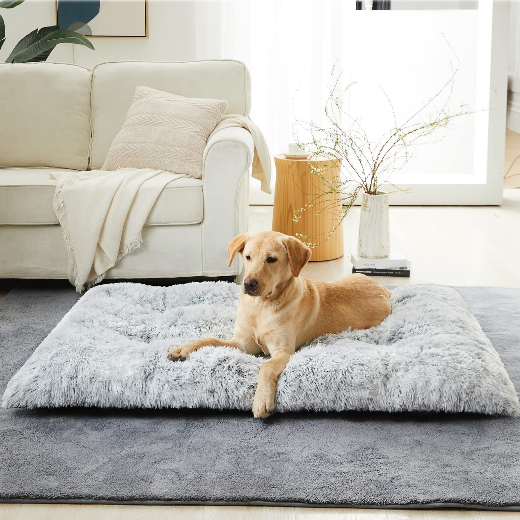 BFPETHOME lit chien grand confort, surface peluche et rembourrage epais pour soutien.