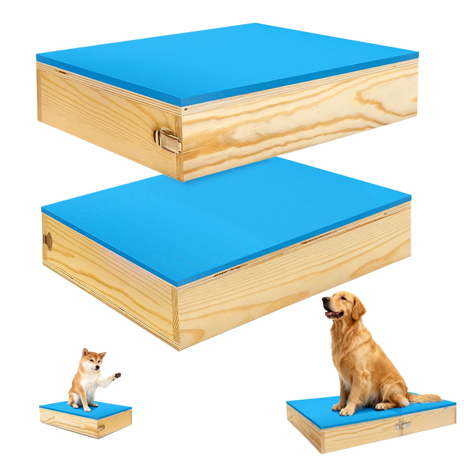 Bhyhok plateformes connectables en bois pour entraînement progressif du chien.