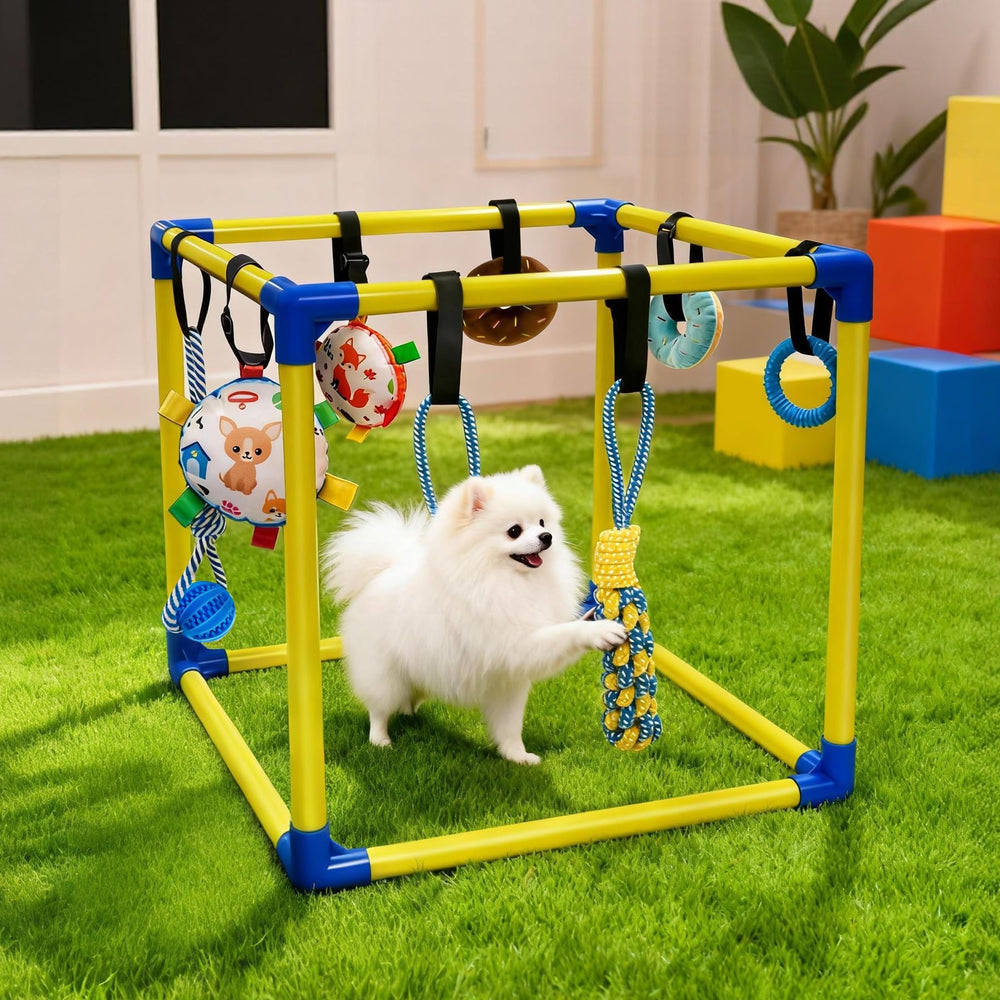 Bhyhok Puppy Play Gym montage rapide sans outils, installation rapide