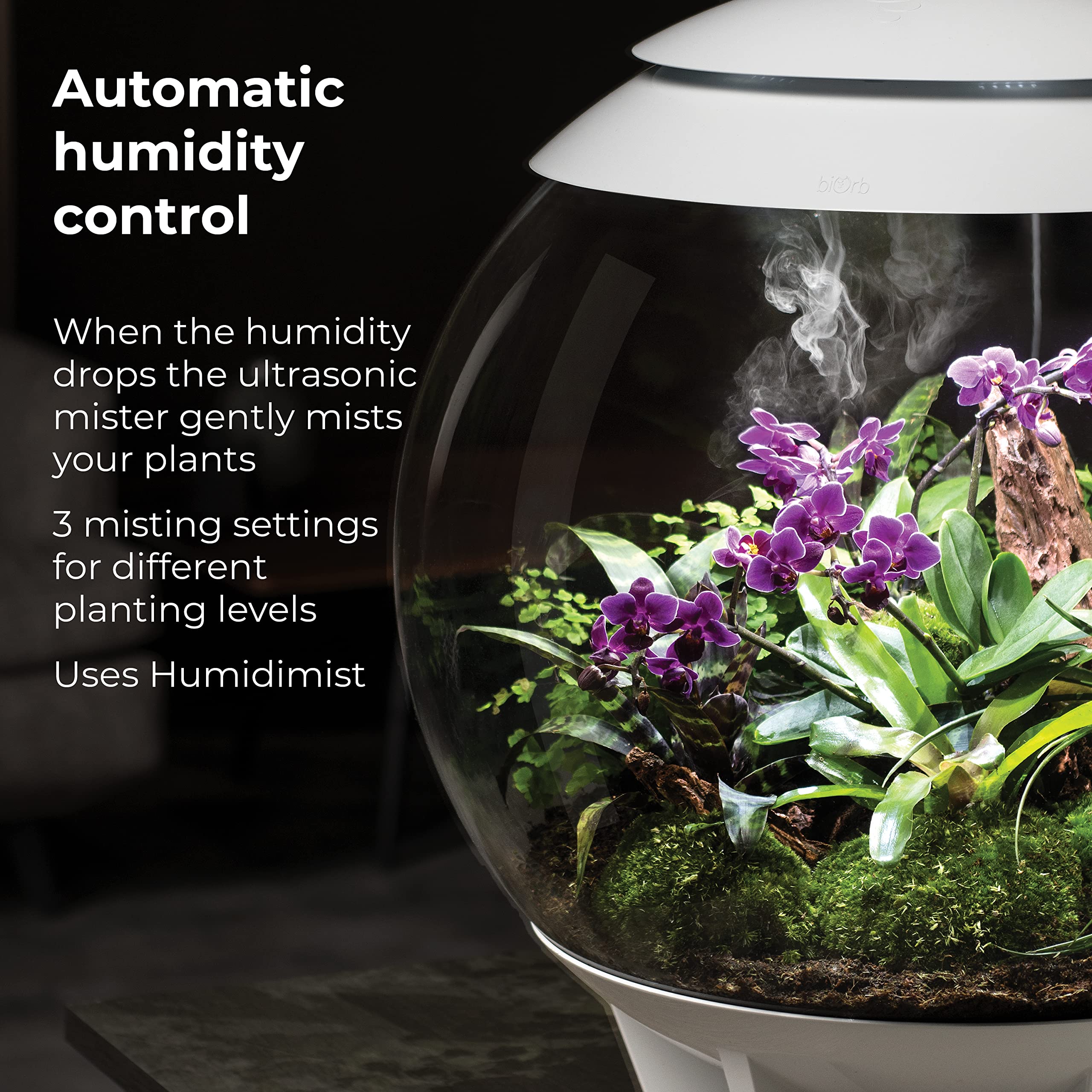 BiOrb AIR 60: brumisateur automatique et circulation d'air responsables