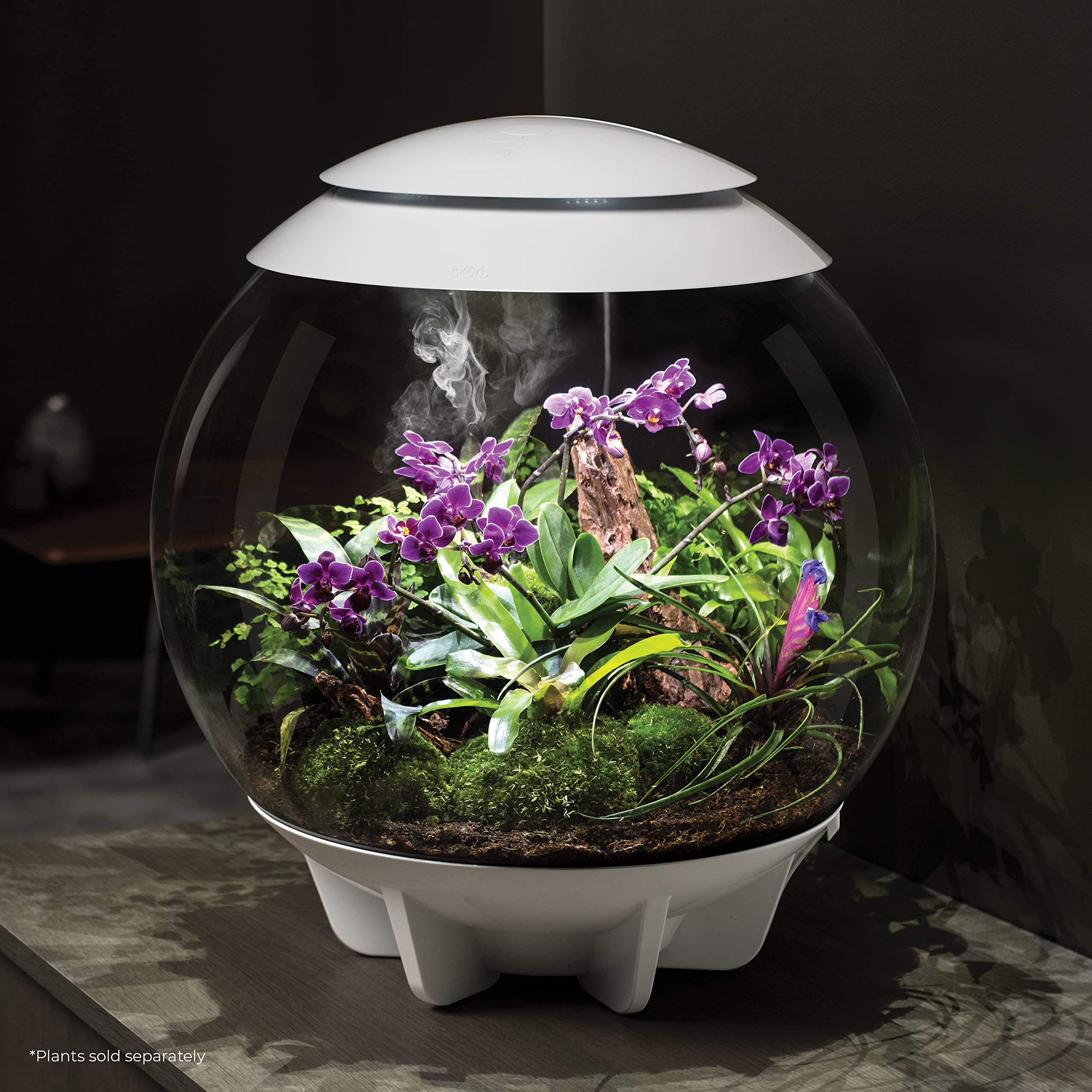 BiOrb AIR 60: éclairage LED automatisé soutenant la croissance naturelle