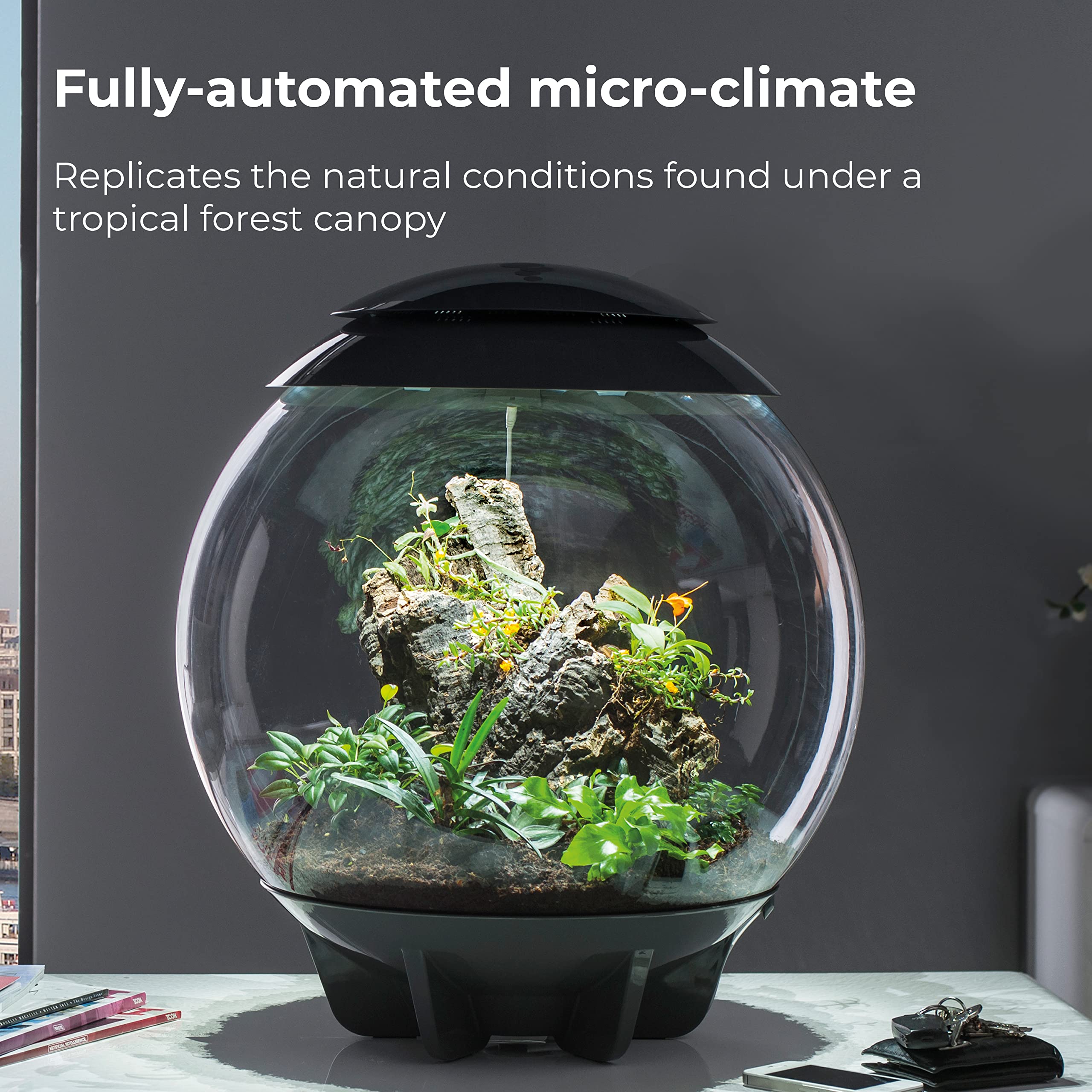 BiOrb AIR 60: terrarium gris avec design contemporain