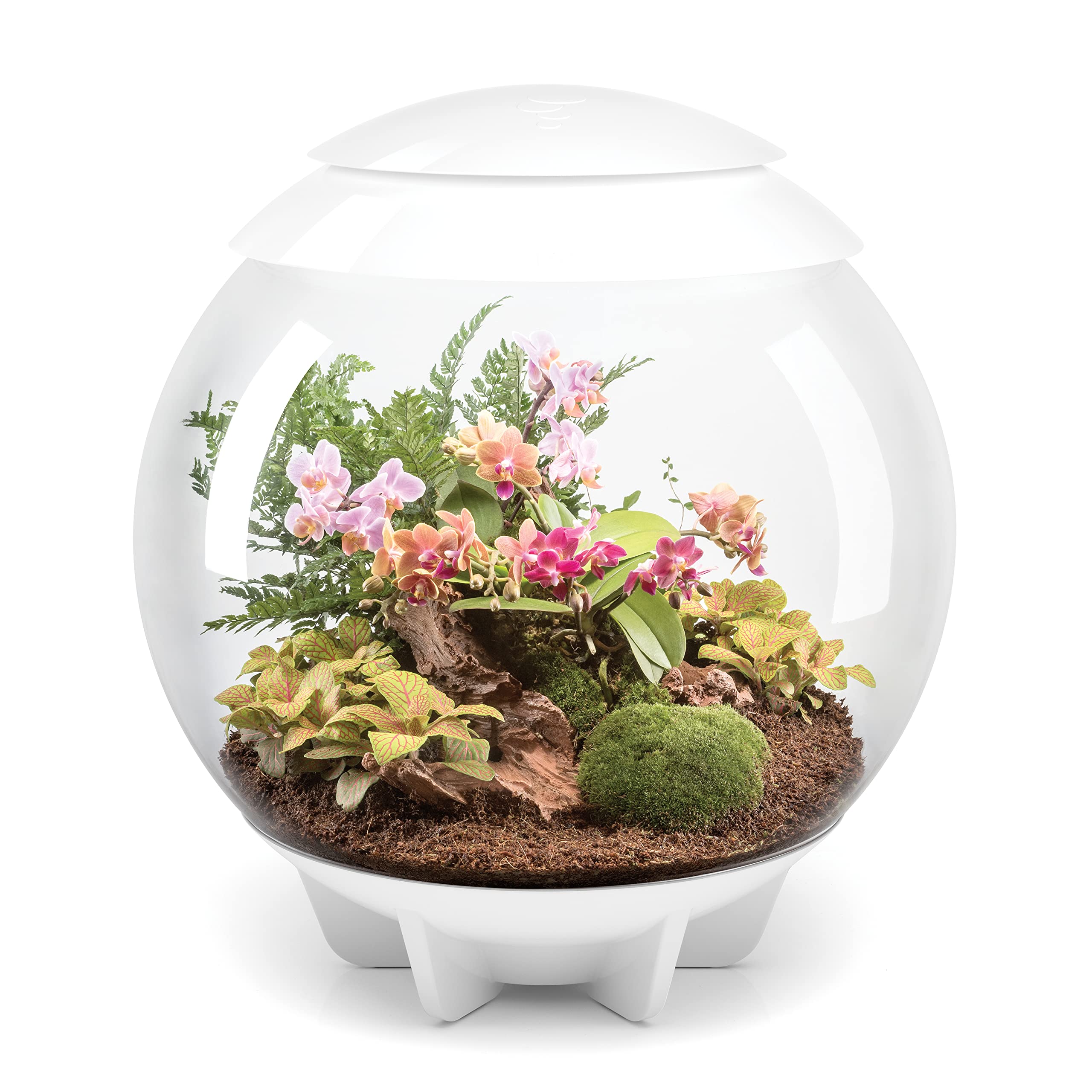 BiOrb AIR 60: vue intérieure à 360° pour observer le contenu vivant