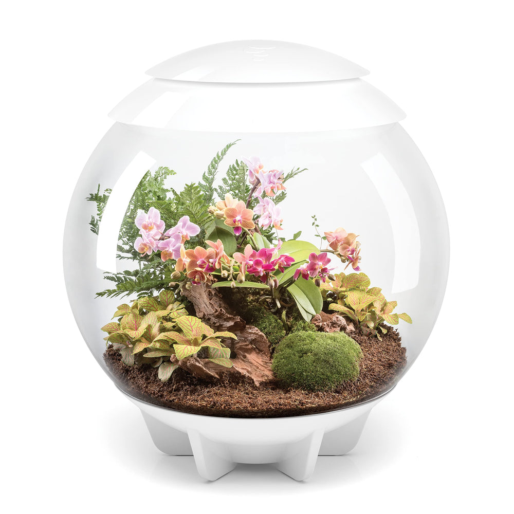BiOrb AIR 60: vue intérieure à 360° pour observer le contenu vivant