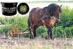 Bickmore Gall Salve appliquée sans résidu gras sur la peau équine.