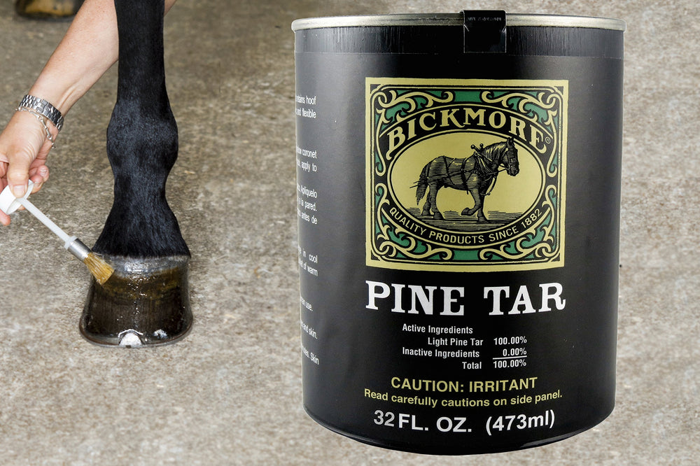Application ciblée sur le sabot avec Bickmore Pine Tar, favorisant l’élasticité et l’hydratation