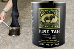 Application ciblée sur le sabot avec Bickmore Pine Tar, favorisant l’élasticité et l’hydratation