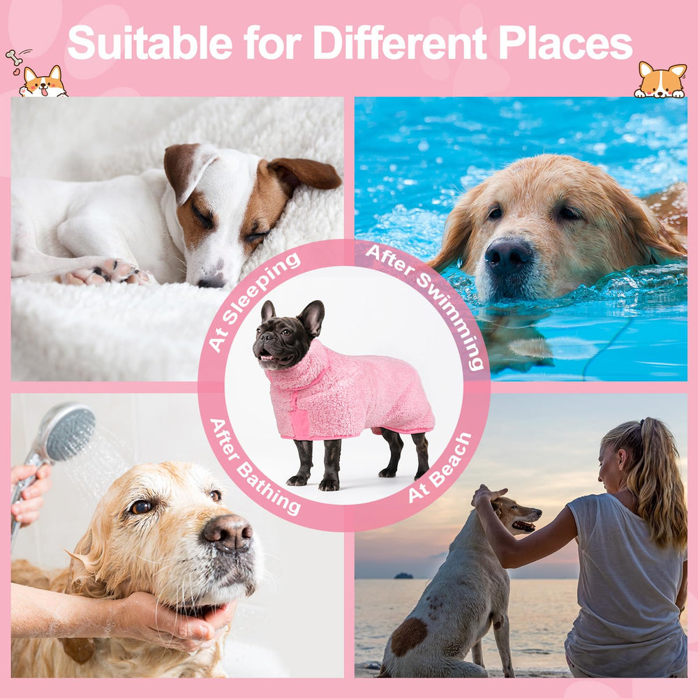 Bienbee guide mesure chien et attache sécurisée de la fermeture