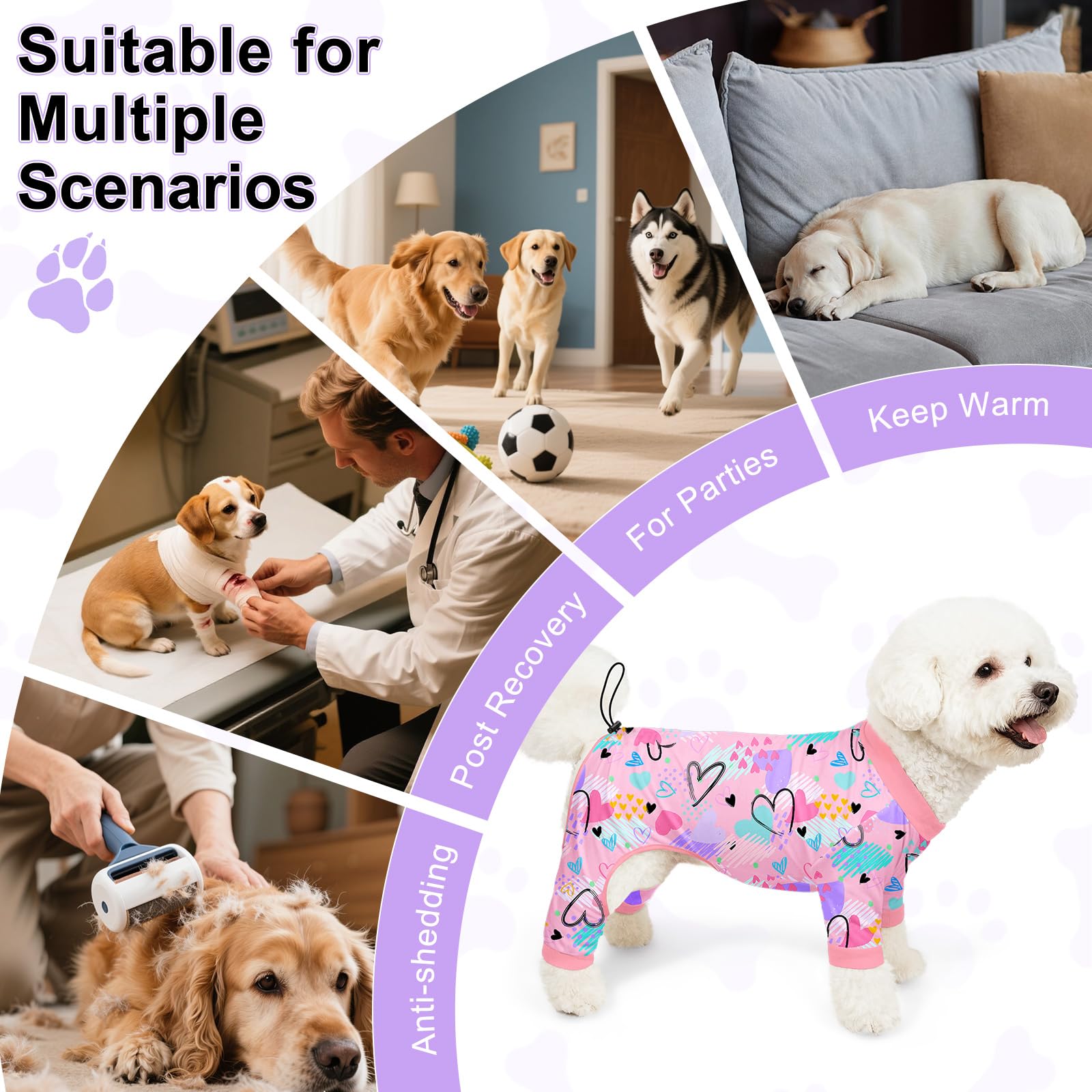 Bienbee combinaison récupération chien protection et réduction des poils