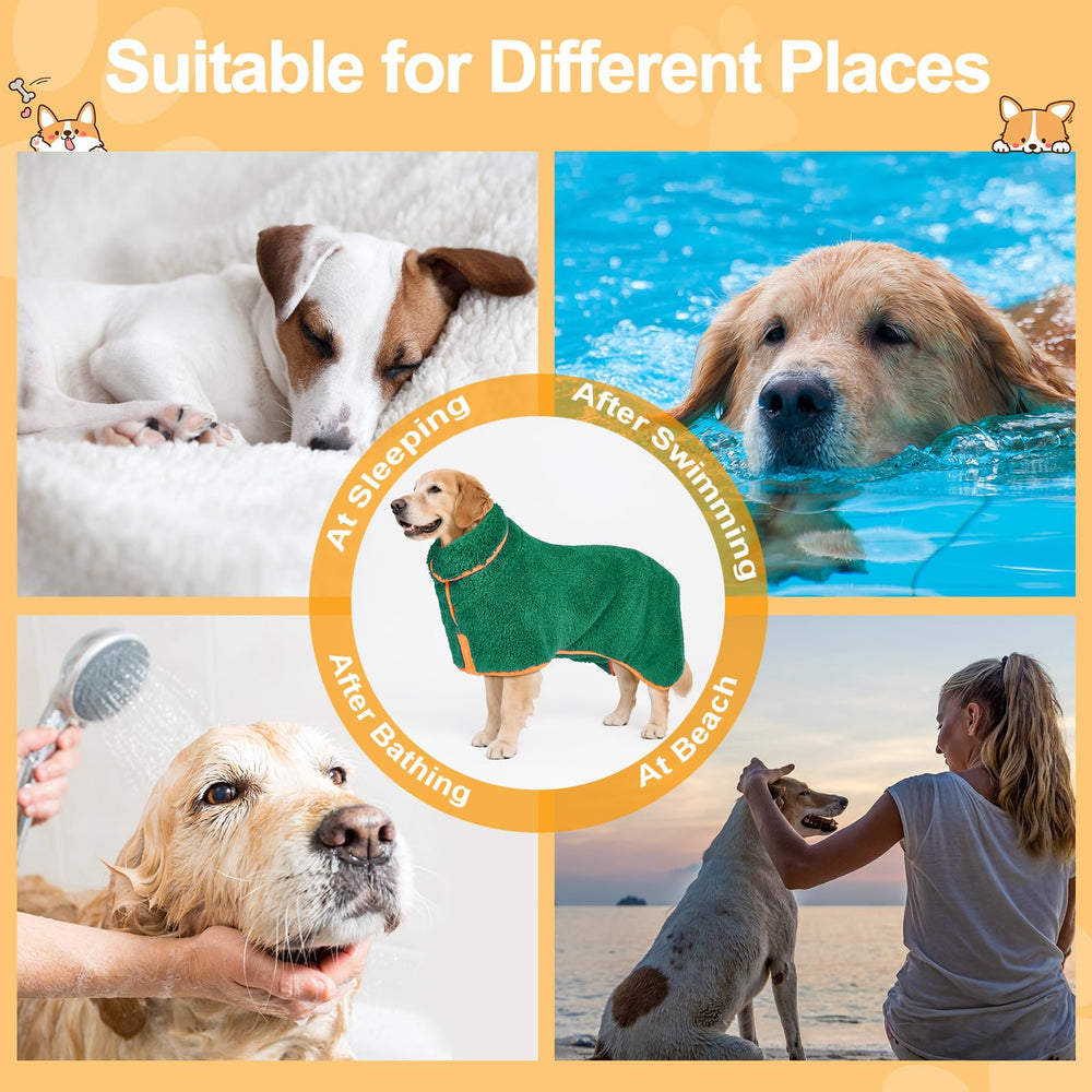Robe Bienbee pour chien assurant un maintien sécurisé après enfilage.
