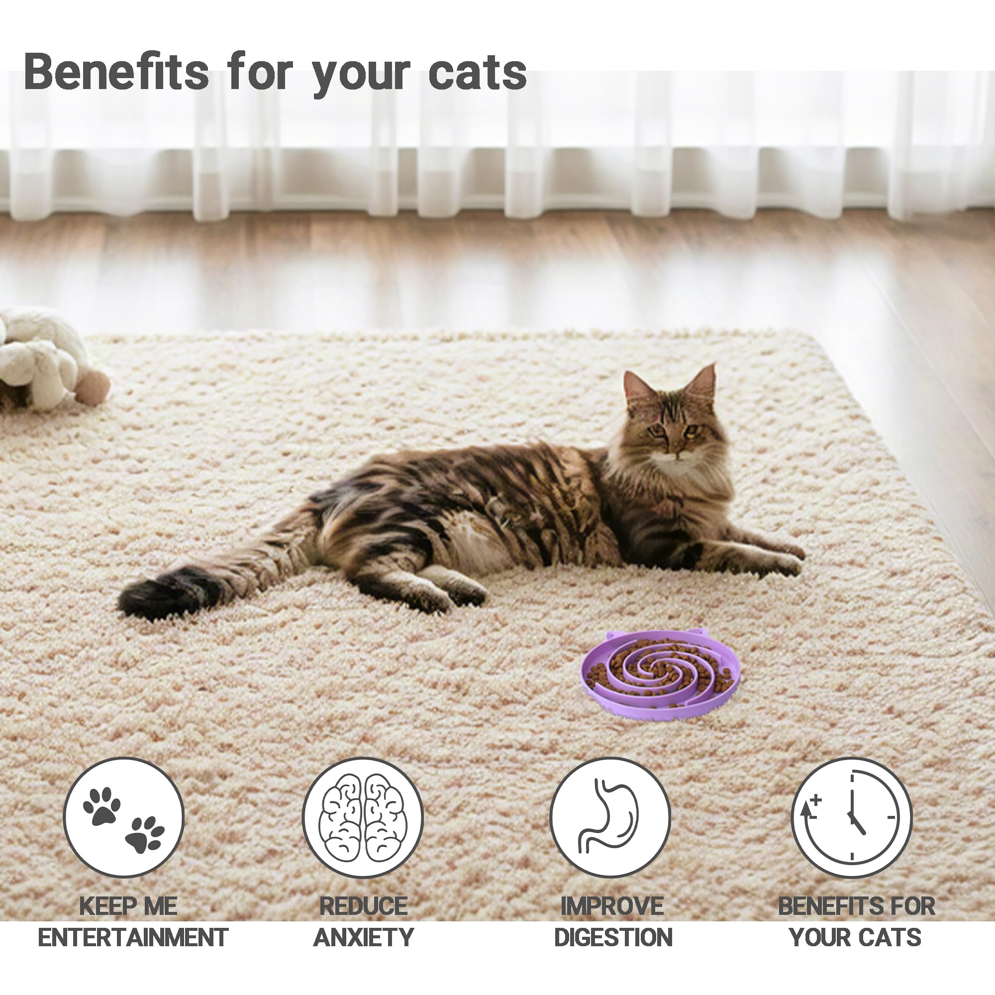 Bifeaw assiette chat nettoyage simple surface lisse facile.