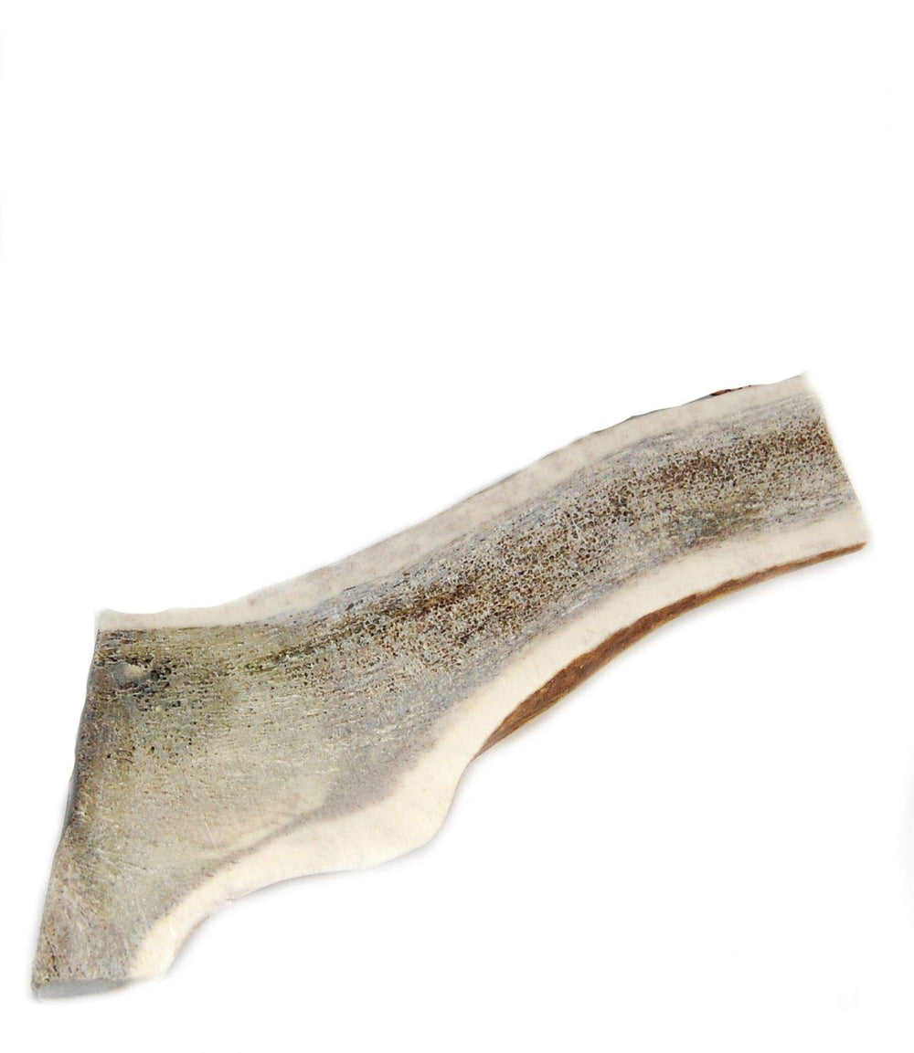Big Dog Antler Chews, corne d’élan moitie exposee, mastication prolongee