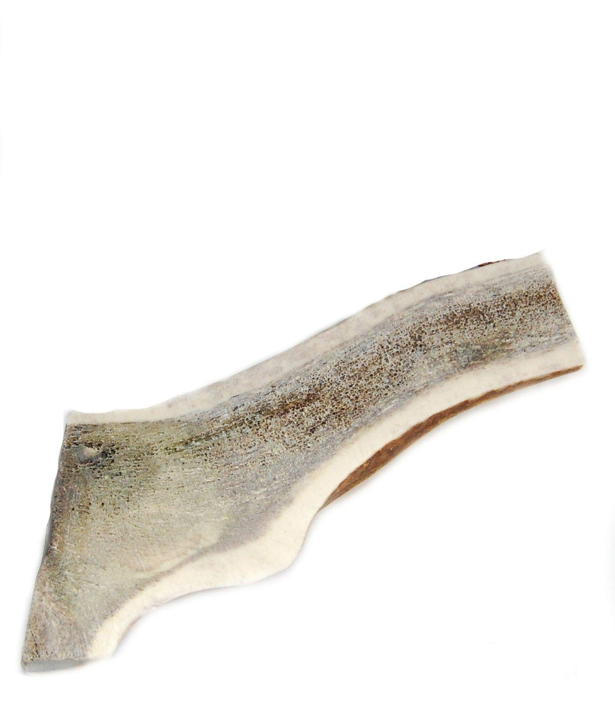 Big Dog Antler Chews, corne d’élan moitie exposee, mastication prolongee