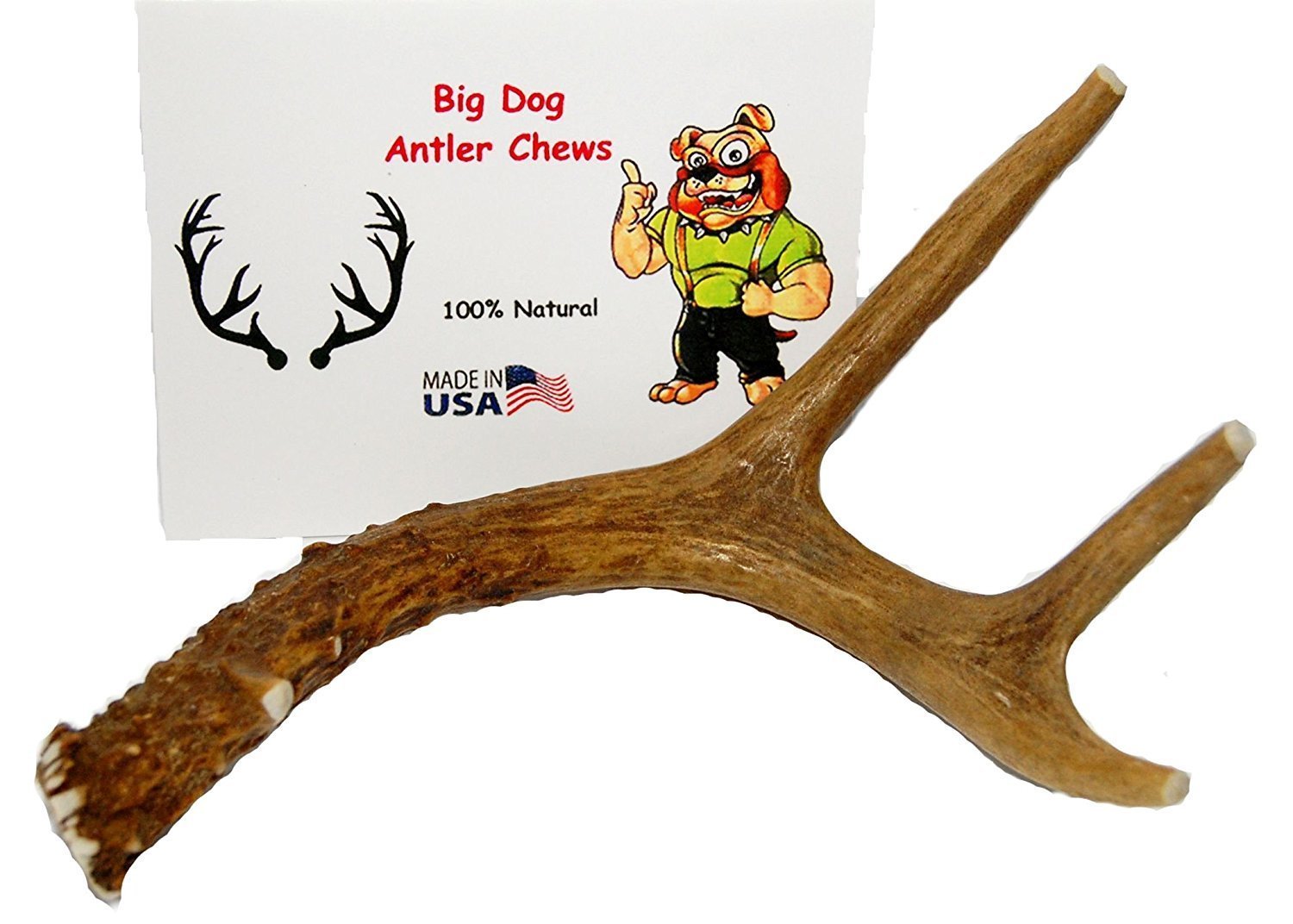 Big Dog Antler Chews – surface lisse sans arêtes pour mordillage en securite.