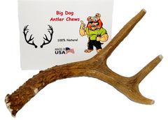 Big Dog Antler Chews – surface lisse sans arêtes pour mordillage en securite.