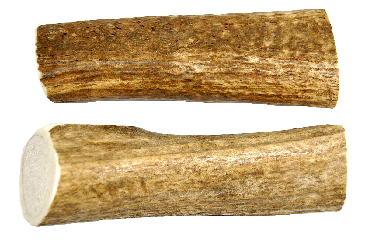 Big Dog Antler Chews – os d'élan entiers 6 à 10 pouces, longue durée pour chiens moyens et grands.