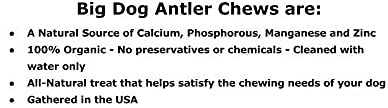 Big Dog Antler Chews – minéraux naturels et soutien potentiel du bien être dentaire