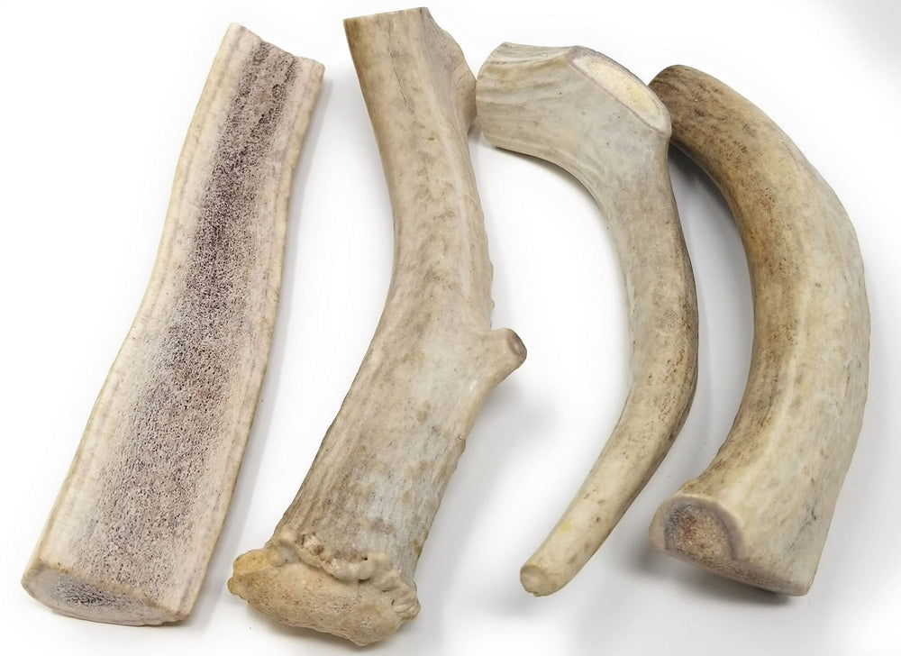 Big Dog Antler Chews – morceaux d au moins 15 cm, mastic durable