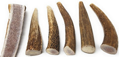 Big Dog Antler Chews: proviennent de cerfs et d'élans sauvages, sans additifs artificiels.