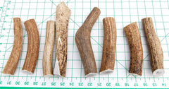 Big Dog Antler Chews – origine élan sauvage, œuvrant en harmonie avec la nature.