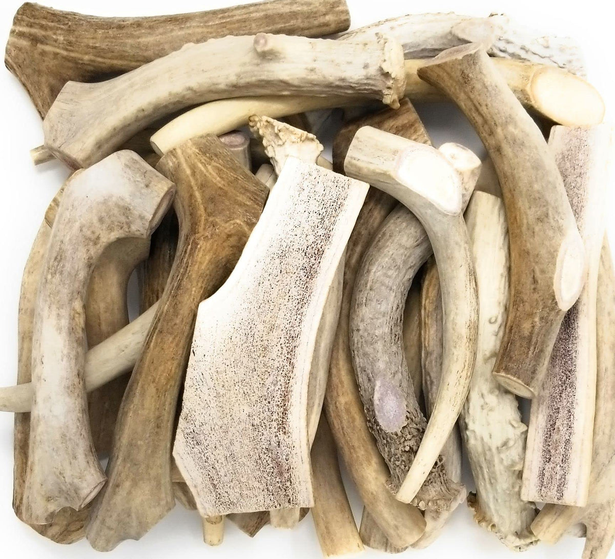 Big Dog Antler Chews – os de cerf B-Grade, mâchage prolongé sans odeur