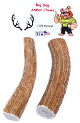 Big Dog Antler Chews – élans entiers sablés, arêtes lissées pour la sécurité.