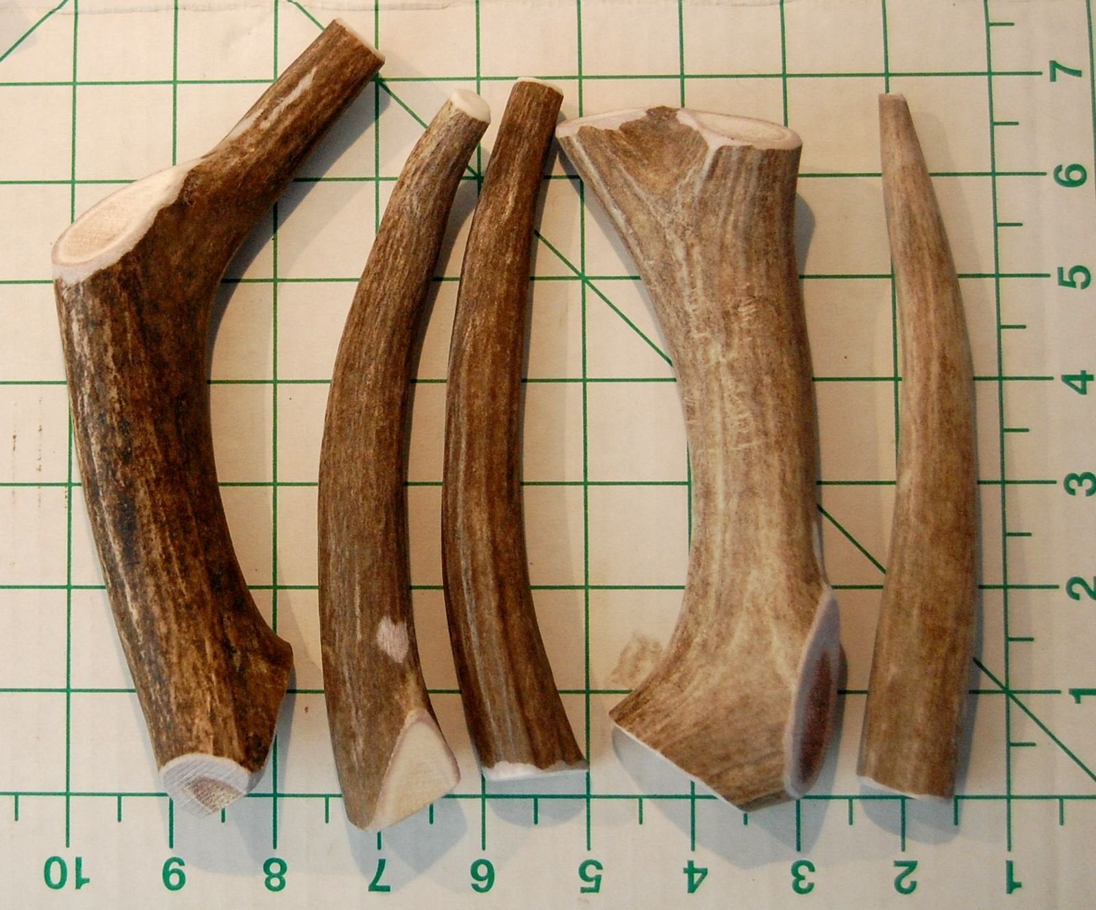 Big Dog Antler Chews: source naturelle de calcium et minéraux essentiels.