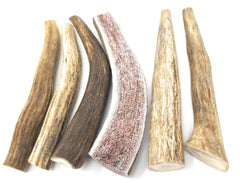 Big Dog Antler Chews: sans stéroïdes, antibiotiques ni conservateurs, pour une option naturelle.