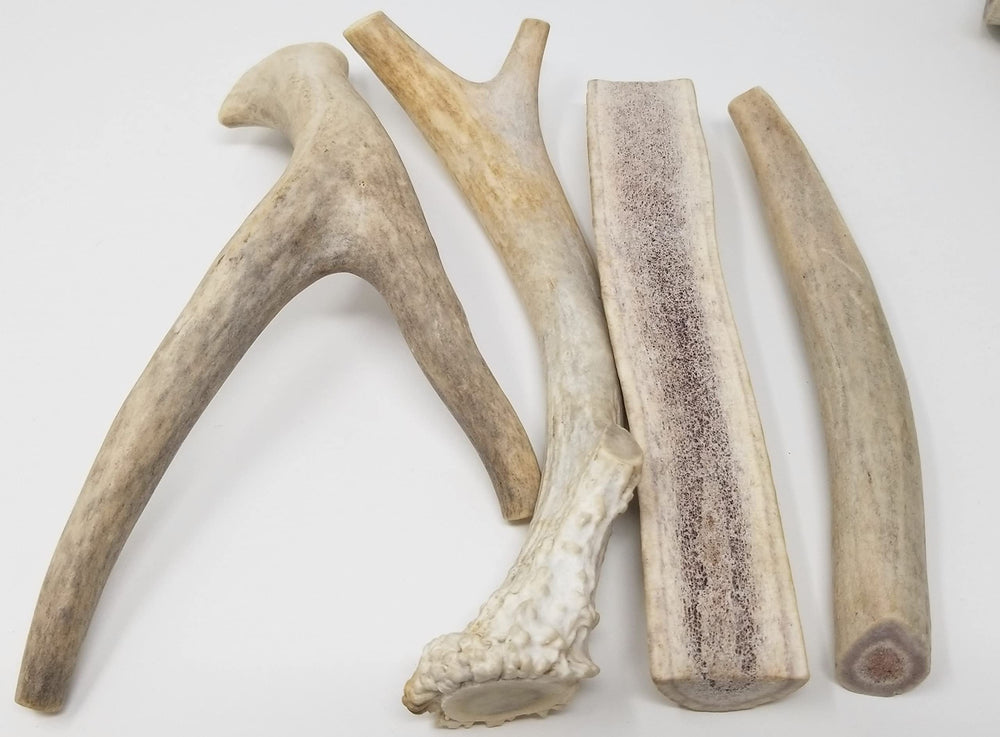 Big Dog Antler Chews – sans additifs artificiels pour chiens exigeants