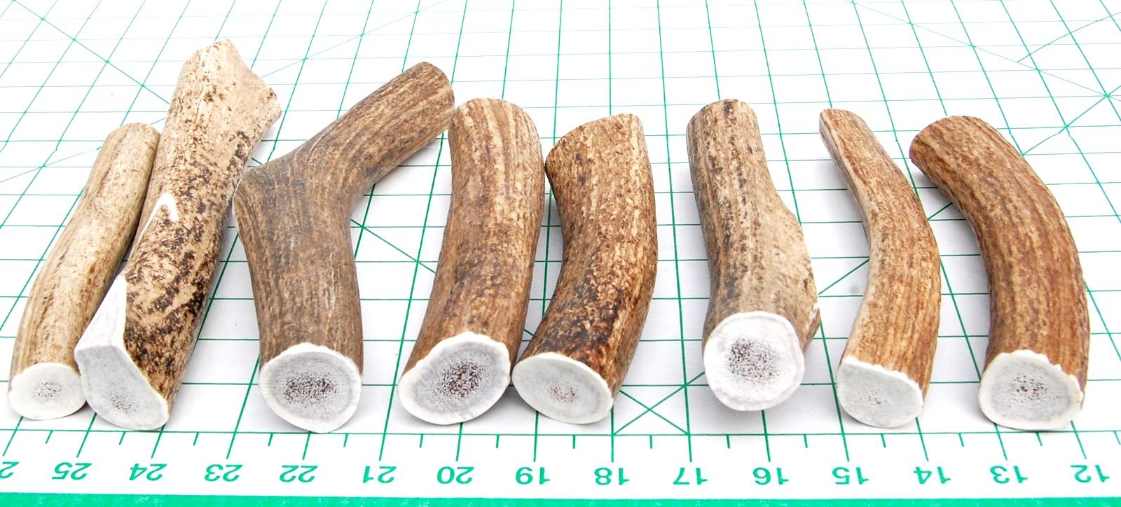 Big Dog Antler Chews – utilisation intérieur propre, sans odeur ni graisse.