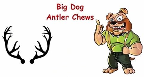 Big Dog Antler Chews – usage intérieur sans odeur persistante