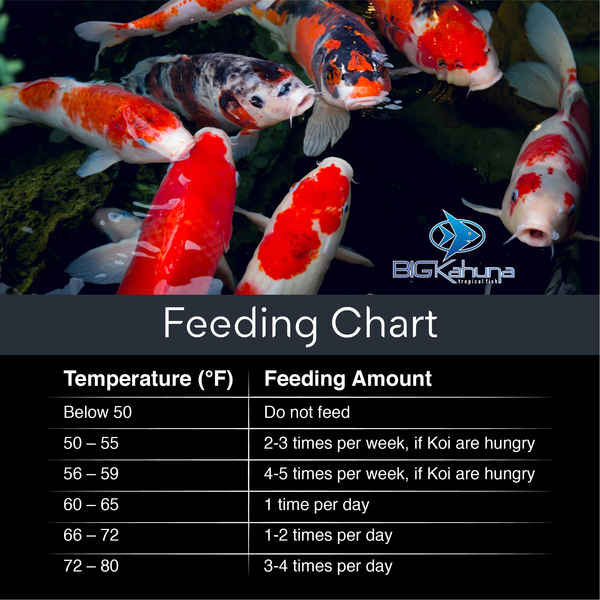 Paquet 4 livres – solution économique et durable