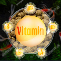 Pellettes koi 32% protéines – nutrition adaptée pour les koï