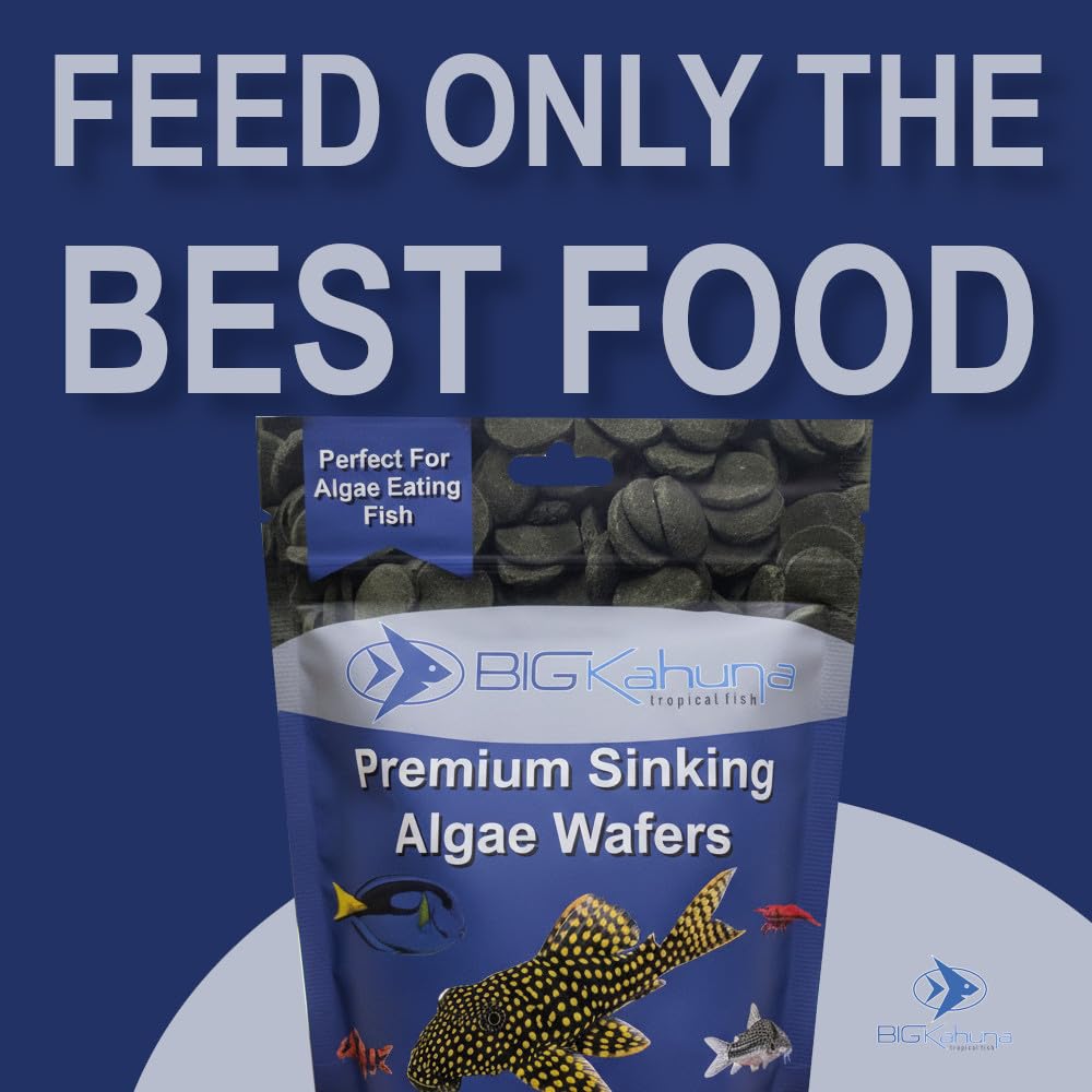 BIG KAHUNA TROPICAL FISH galette-algue-pleco-18mm, soutien pour poissons de fond.