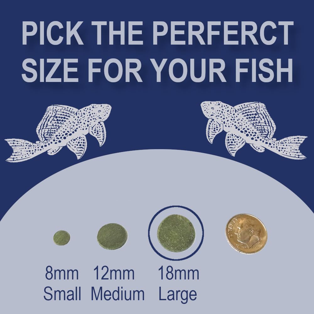 BIG KAHUNA TROPICAL FISH nourrissage-escargots-aquarium, compatible avec certains escargots.