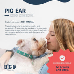 Chien qui mâche des oreilles Big Lu, moment de jeu.