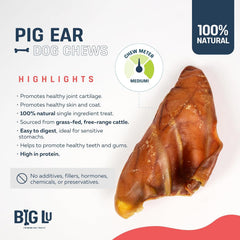 Texture détaillée des oreilles de porc Big Lu, friandise digeste.