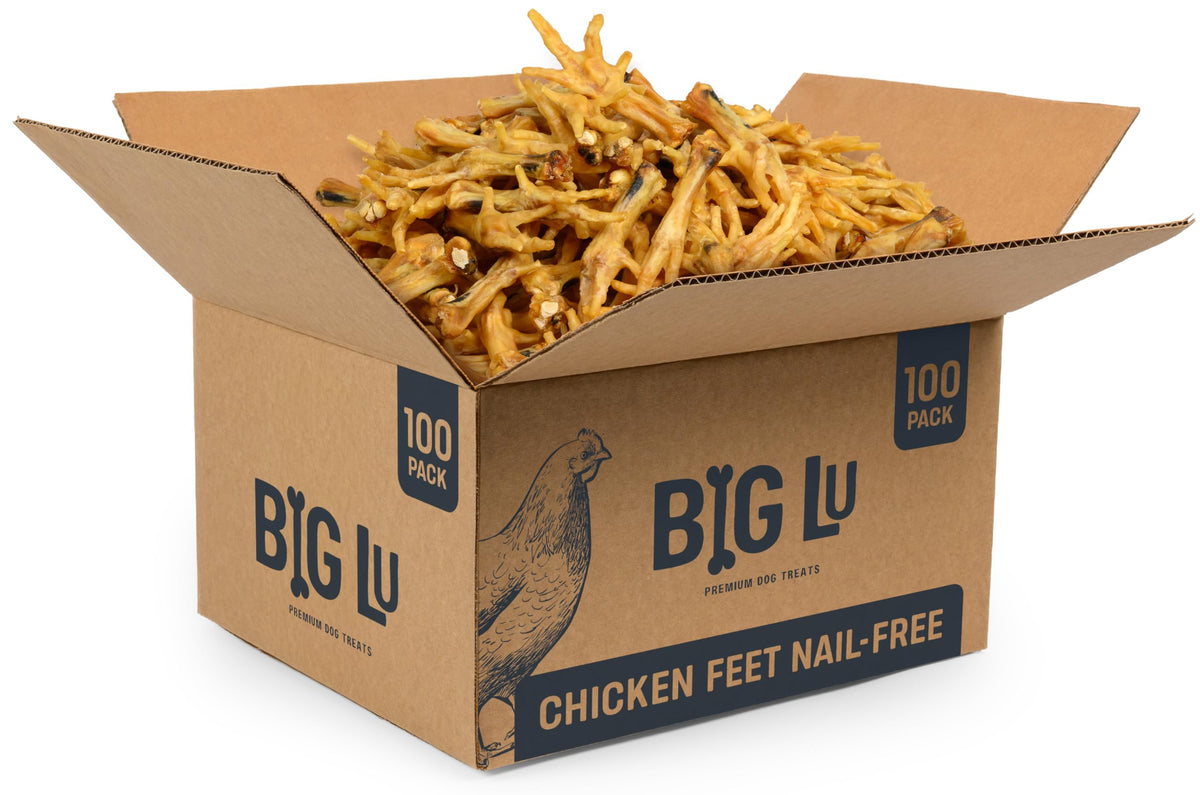 Big Lu pieds de poulet sans ongles, friandise naturelle pour chien.