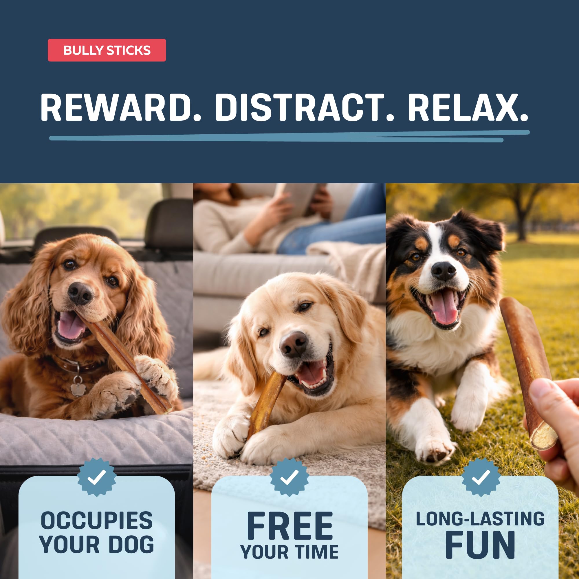 Sachet variete Big Lu 1 livre, options adaptées à tous les chiens.