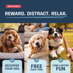 Sachet variete Big Lu 1 livre, options adaptées à tous les chiens.