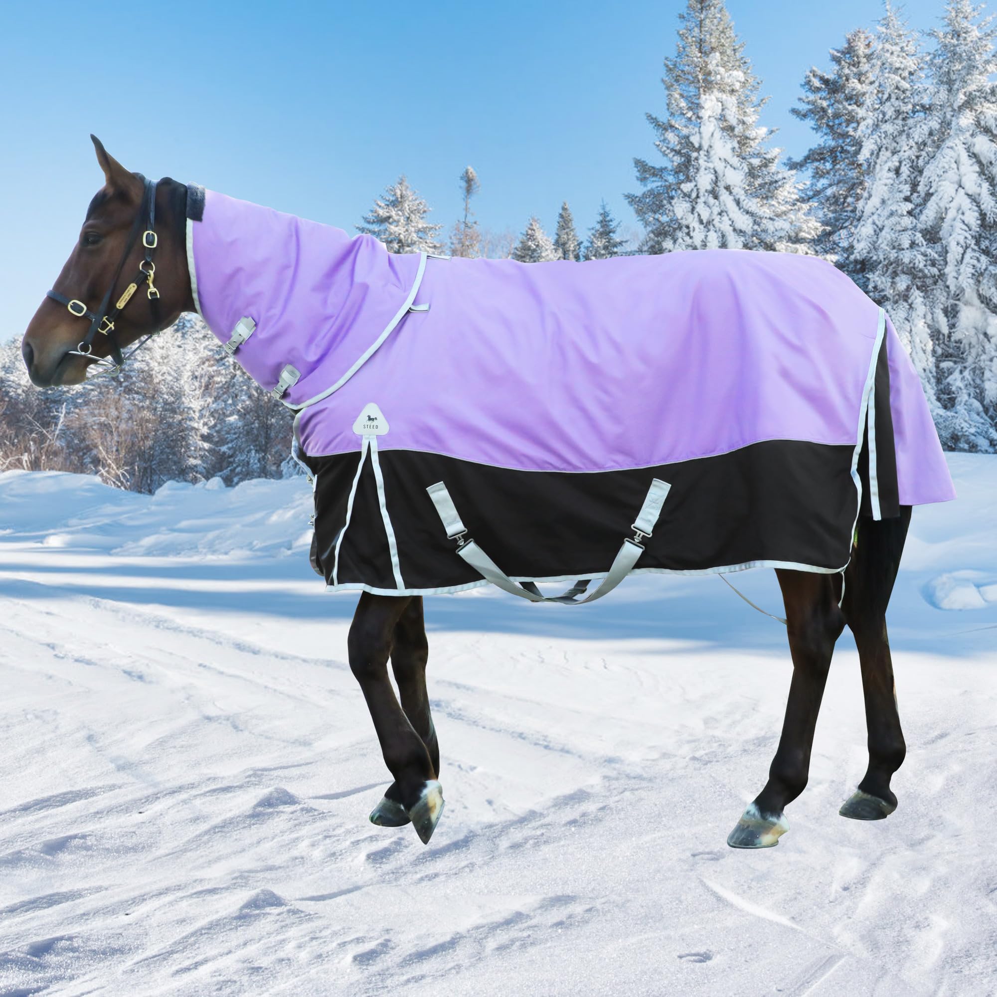 BIGANTTOW couverture cheval hiver 1200D; protection contre le froid et l'humidité