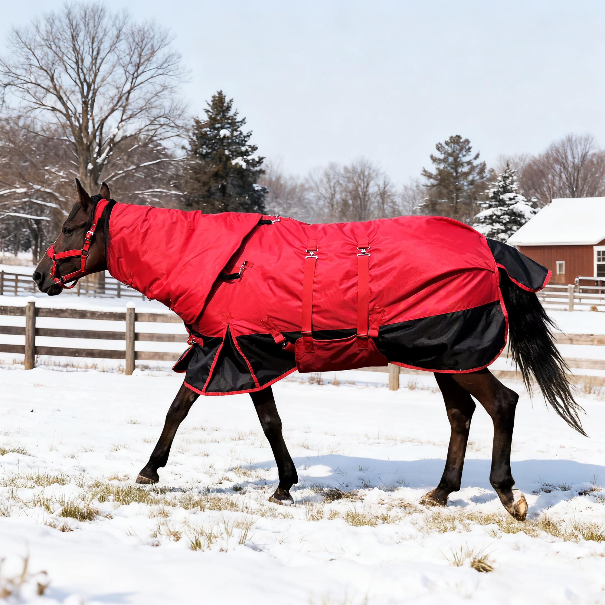 BIGANTTOW couverture hiver cheval 1200D vue avant, protection durable contre le froid.