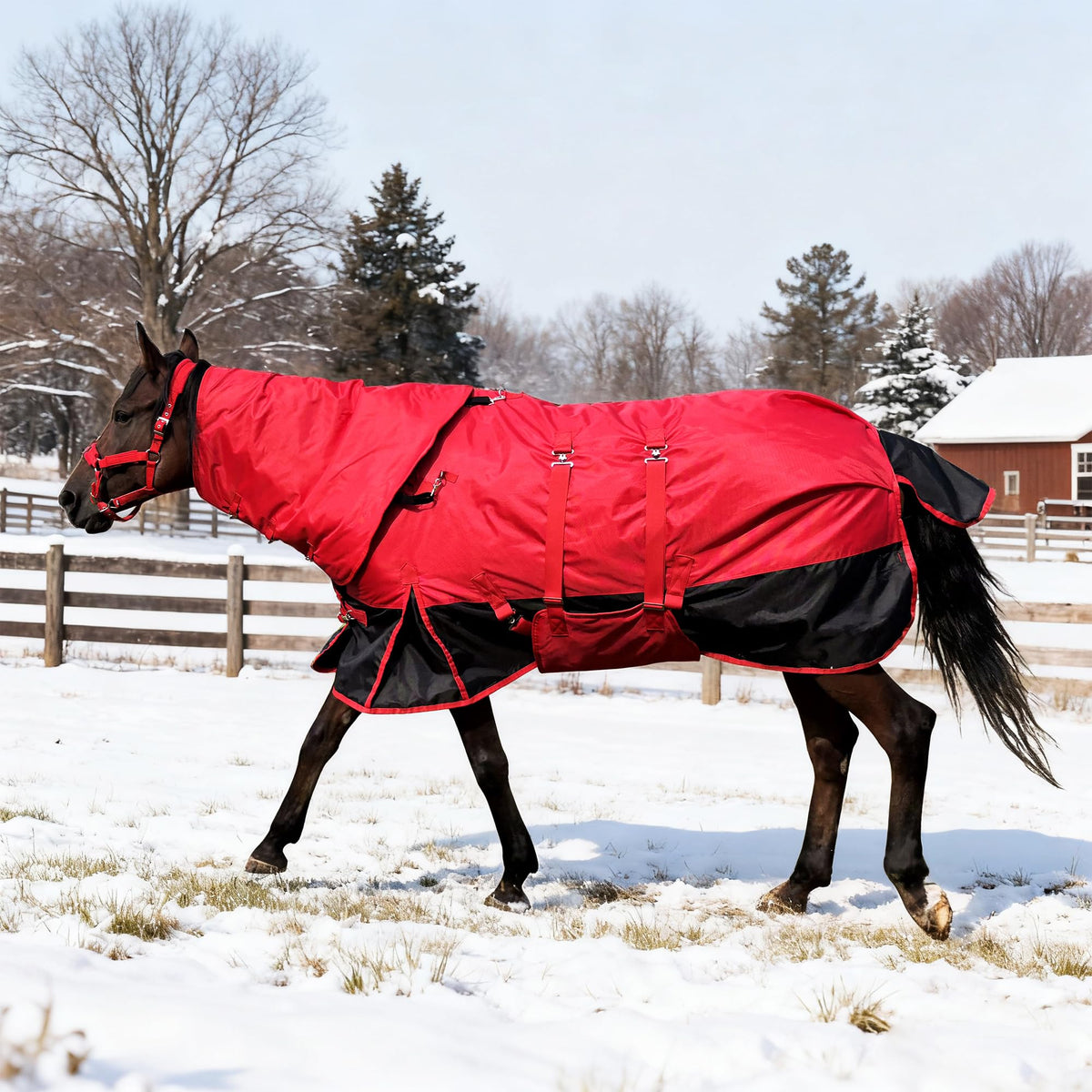 BIGANTTOW couverture hiver cheval 1200D vue avant, protection durable contre le froid.