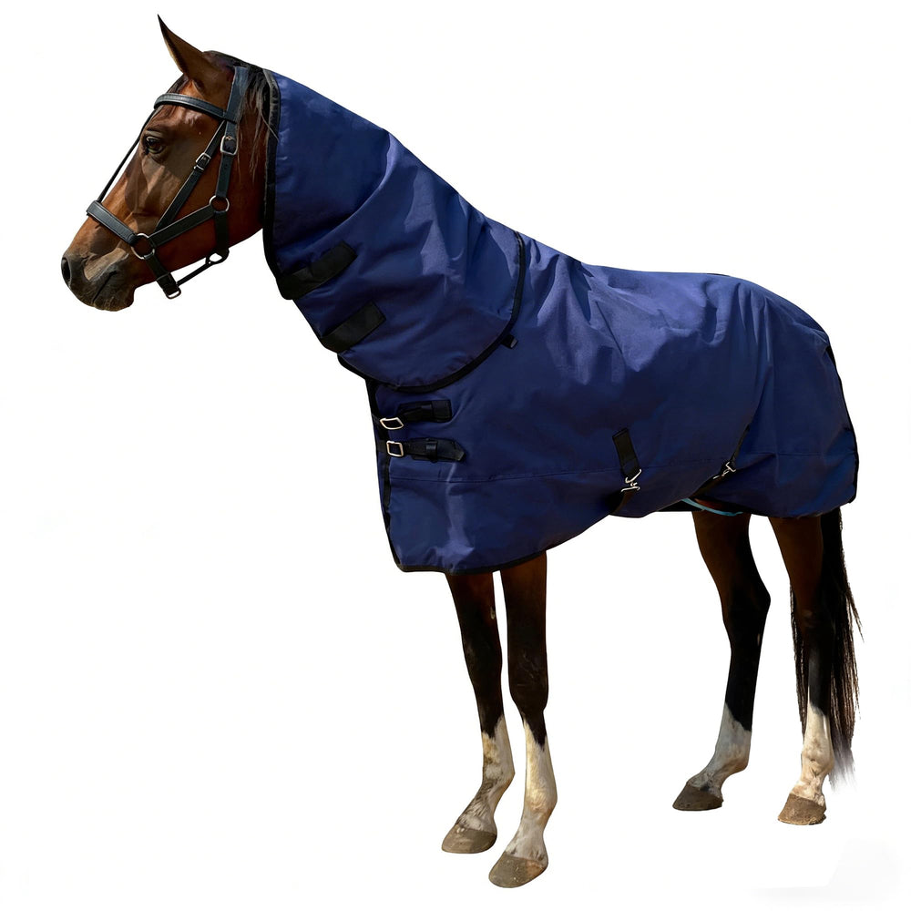 BIGANTTOW couverture hiver cheval, 1200D imperméable pour une protection durable.